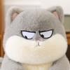 Новый стиль кошачьих плюшевых игрушек Игрушки Кукла-котенок Кукла-компаньон для детей