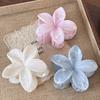 Gradient Frangipani Hair Clip Female Versatile Sweet Resort Fairy Shark Clip Vintage Hair Accessories