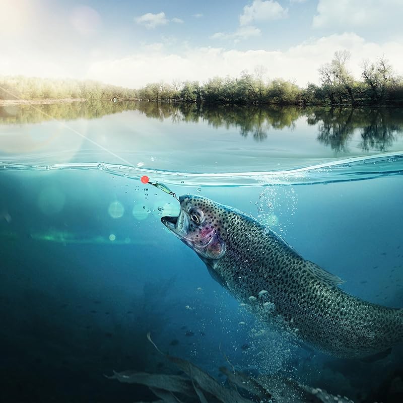 PATIKIL Luminous fishing beads that glow in the dark 6mm 100 pieces soft rubber look beads round type catfish punch bait rig For freshwater/seawater