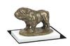 Bulldog I - Dog Figurine, Figure On a White Base, Trophy for Art-Dog Dog Show Exhibition