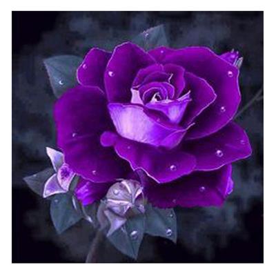 5D DIY Полный дрель Площадь Алмазная картина Фиолетовая роза Вышивка крестом Мозаика