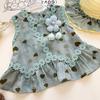 Girls' Heart & Daisy Sleeveless Vest and Floral Bow Knot Shorts Set