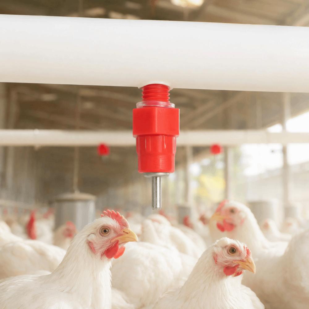 50Pcs 304 Stainless Steel Poultry Drinker Nipple PP Red Chicken Water Drinker Corrosion Resistant Rust Proof