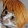 DIY Прямая Шерсть Костюм Питомца Парик Смешной Регулируемый Кошка Косплей Парик Цветной Собака Головной Убор Фотография