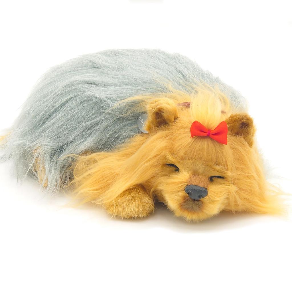 Ninian and Kino Perfect Pet (Small Size) Yorkshire Terrier (Steel Blue) Stuffed Animal Dog Realistic Look-alike Goods Animal Healing Moving Present