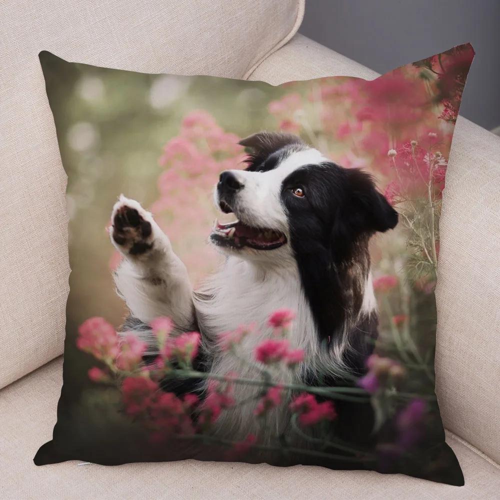 Soft Plush Cute Pet Animal Cushion Cover Scotland Border Collie Pillowcase for Sofa Car Decor Dog Printed Pillow Case