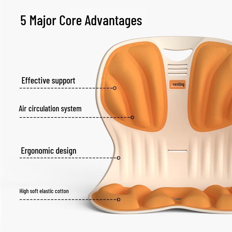 Integrated 3-Zone Ergonomic Lumbar Support Cushion