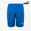 Galleria Puma Riga Core ShortS Мужские спортивные функциональные шорты