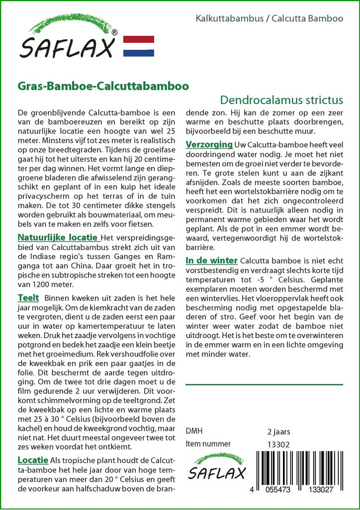 SAFLAX Калькуттский бамбук - 50 семян - Dendrocalamus strictus