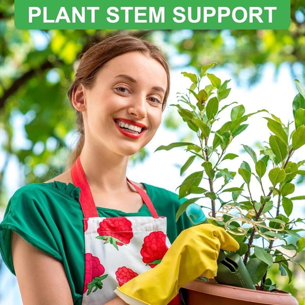 Iron Climbing Houseplant Stem Supports Heart Shape Garden Trellis Plants Growth Accessories