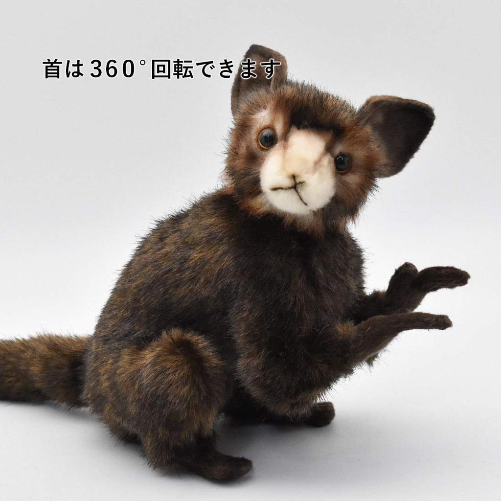 BH5166 HANSA AiAi 20