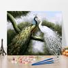 DIY Painting By Numbers Crafts Digital Oil Painting Arts Numbers Painting Home Decoration Hobbies