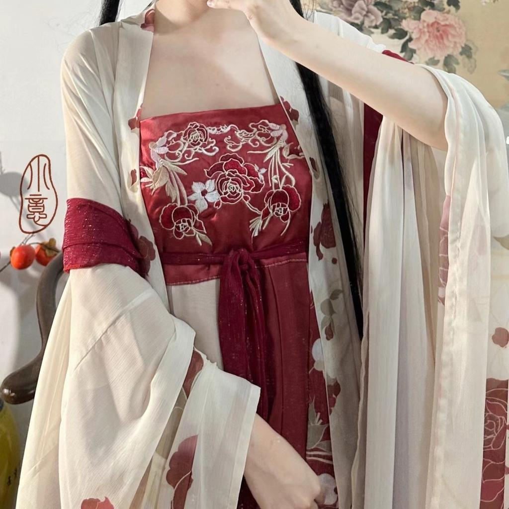 Китайский стиль династии Тан, платье HE ZI, женский костюм Hanfu, повседневный костюм с вышивкой