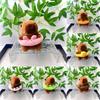 Adorable Capybara Plush Toy Keychain With Cute Swimming Ring Design For Gifts