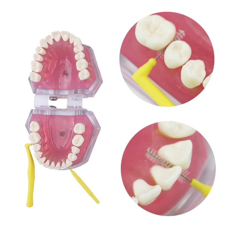 Care Kit Detachable Toothbrush with Interdental Brush Tongue Scraper Reusable Oral Set For Home Office Travel