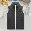 Мужской жилет с воротником-стойкой, без рукавов, утолщенная бархатная подкладка, жилет с карманами, однотонный жилет из хлопка с застежкой-молнией