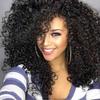 Afro Women Fashion Short Black Curly Wig Synthetic Hair for Women
