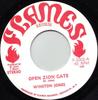 7-дюймовая пластинка WINSTON JONES 2 Open Zion Gate F2002 Flames Records 1975 Ямайка Регги Ска Даб Б/у