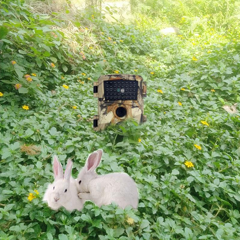 Hot Selling 1080P HD 12MP Trail Wildlife Camera Trap Hunting Game Camera with PIR Sensor Infrared Night Vision - Anti-Theft Security