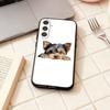Йоркширский терьер собака йорки щенок Чехол для телефона Для Samsung Galaxy A73,A72,A71,A70,A53,A52,A51,Другие Мягкий черный корпус
