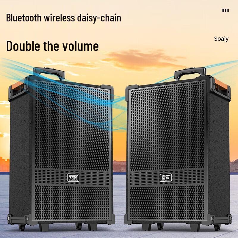 Soaiy SA-X39 12-inch Outdoor Portable KTV Speaker