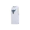 Project Rock Brahma Bull Print Tank Top Men Tops Grey 1371215-011