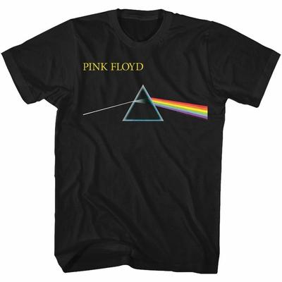 Простая черная футболка Pink Floyd Dark Side Of The Moon