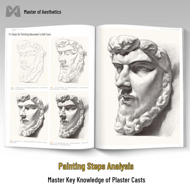 Understanding Sketch Plaster Casts: 8K Exam Art Guide & Album
