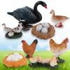 Hen Educational Toys Life Cycle Figures White Goose Cycle Duck Figurine Growth Cycle Simulation