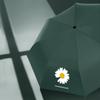 Automatic Folding Umbrella Women Black Paint Daisy Pattern Ultraviolet-proof Umbrella