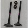 Motorcycle Engine Parts Valve Stem & Oil Seal & Spring & Valves Set For LIFAN KPT200 KP150 KPR150 KPR200 LF150-10B LF150-5U