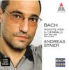 CD АНДРЕАС ШТАЙЕР - Бах: Hpschd Транскрипции 3984214612 Teldec 1998 Германия Классика Б/У