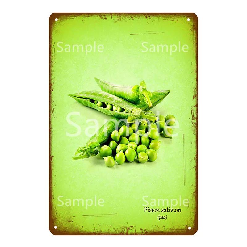 Памятная доска Thatchers Фрукты Бананы Металлическая вывеска Винтажное украшение фермы Домашний декор Наклейка на стену Магазин Живопись Постер для ресторана YL168