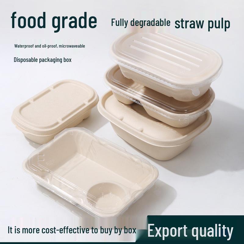 Eco-friendly Three-Compartment Disposable Bento Box – Microwaveable Paper Lunch Container for Salads and Light Meals