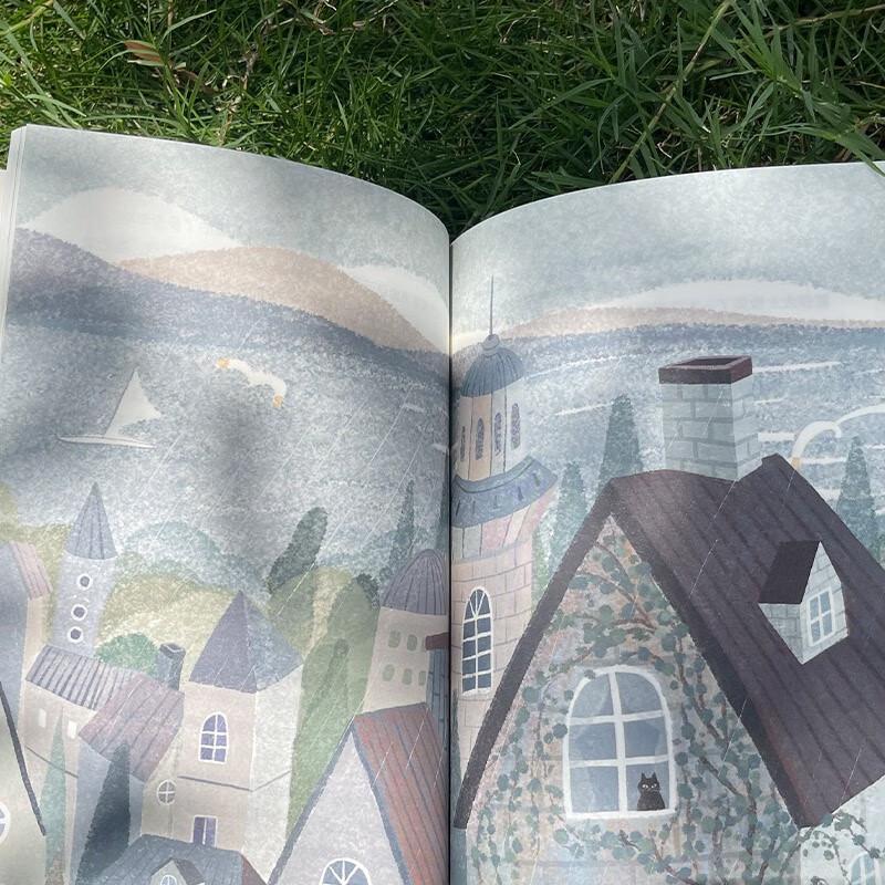 Классическая серия Ван Имэй (4 книги)