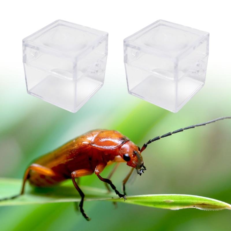 6 шт. Прозрачные коробки-лупы для насекомых для детей, для изучения природы, квадратный дизайн со смотровой линзой, школьные принадлежности для кабинета естествознания