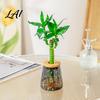 Durable PET Hydroponic Container Planter with Lid Glass-Like Clear Plant Propagation Station Desktop Pothos Water Culture Vase Flower for Cuttings,