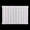 Wanshun Jia 6030 Wall-Mounted Steel Radiator