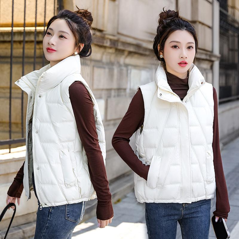 Down Cotton Vest Autumn and Winter Loose Foreign Style Outer Wear Vest Stand-up Collar New Women's Korean Version Vest