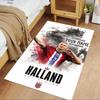 Haaland Customizable Name Area Rug Suitable for Living Rooms Outdoor Game Room Kitchen Anti-slip Rug Office home decor
