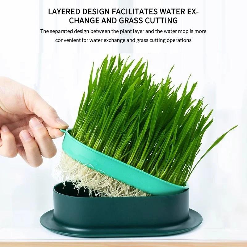 1PC New Pet Cat Sprout Dish Growing Pot Hydroponic Plant Cat Grass Germination Digestion Starter Dish Greenhouse Grow Box