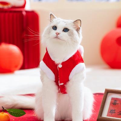 Новогодняя кошачья одежда, праздничный китайский Новый год, благоприятные новогодние поздравления, теплые кошки, котята, щенки, собаки, одежда на двух ногах, одежда для питомцев