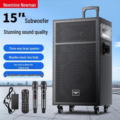Портативная уличная Bluetooth-колонка Newmine N551 15 дюймов, штекер CN (адаптер в комплекте)