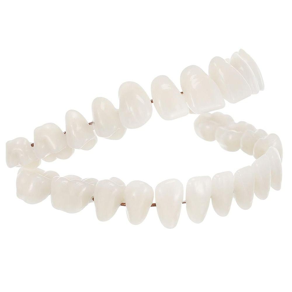 Создайте свою собственную модель обучения зубов, 28 шт. Модели обучения зубов, потеря полости рта