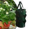 3 галлона мешки для посадки овощей складной сеялка для выращивания клубники мешок для выращивания томатов овощи картофельный сад