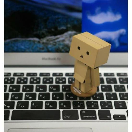 Kaiyodo Revoltech Danbo approximately 80mm PVC ABS painted action figure Mini, tall, non-scale &