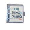 Mini Savings Challenges Book Envelope Savings Challenge  for Budgeting Planner