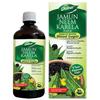 Dabur Сок Джамун Ним Карела 1 л Натуральный Аюрведический Сок для Здоровья Поддерживает Метаболический Пищеварительный Баланс Травяной Напиток