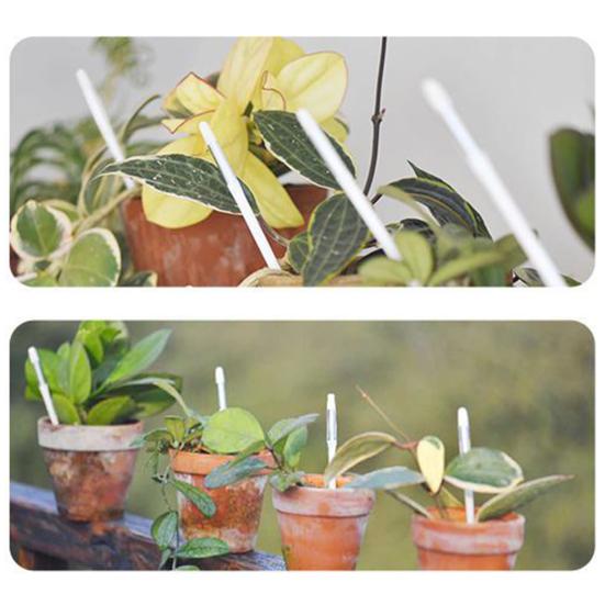 Измеритель влажности почвы, точный чувствительный легкий тестер влажности почвы и растений, товары для дома