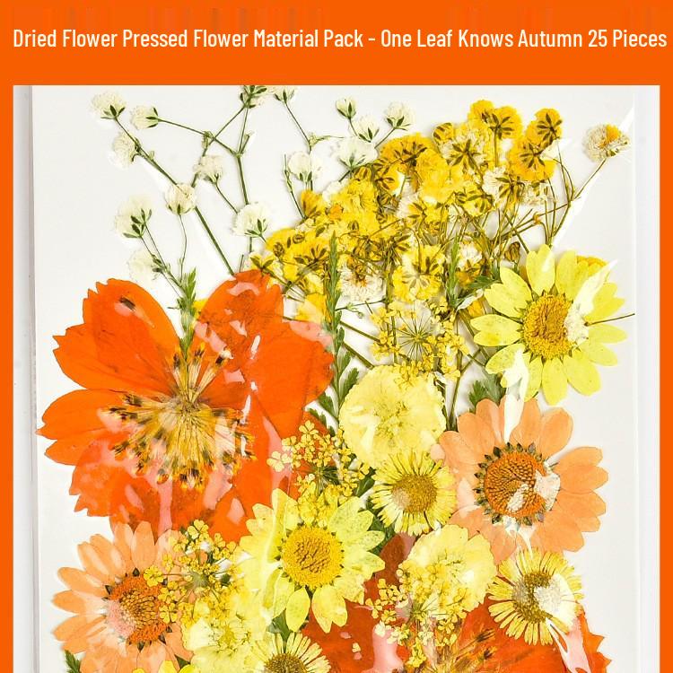 Autumn Dried Flower Bookmark Kit: Transparent Leaf Specimen with Lamination Film Stickers